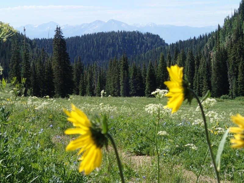 Colorado: Bowen Lake Loop Hero Photo