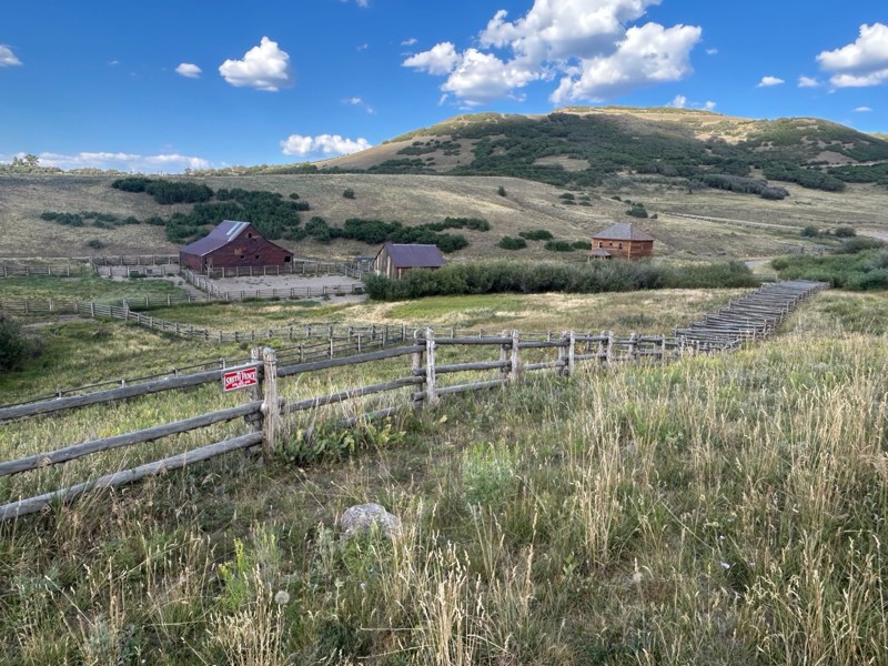 Last Dollar Road Trail Review Photo