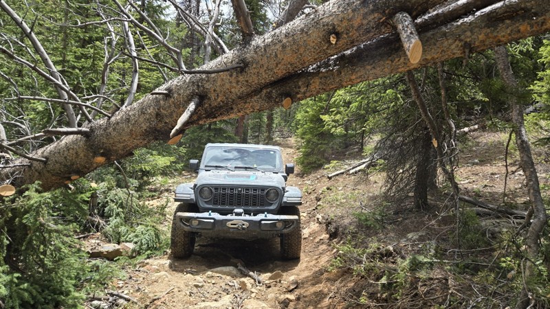 Middle Fork Swan River Trail Review Photo