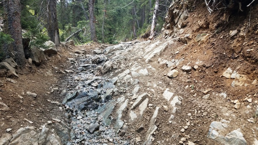 Trail Review: North Fork Swan River - Trint Ladd