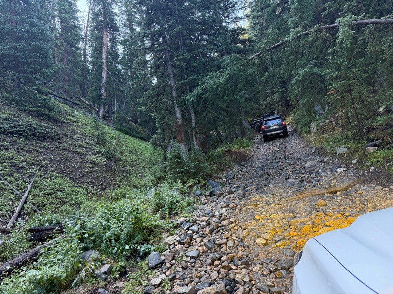 North Fork Swan River Trail Review Photo