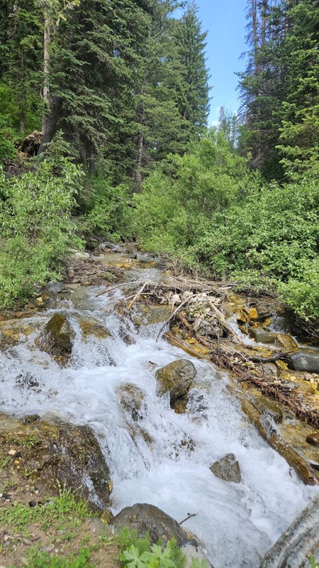 Baker Fork Road Trail Review Photo