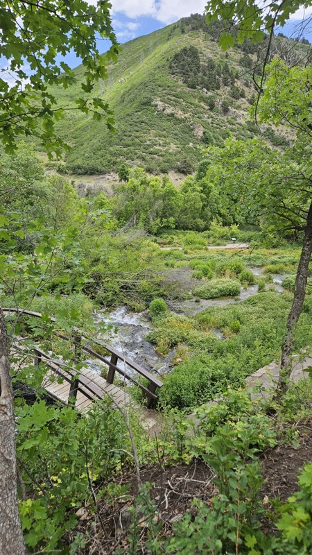 Baker Fork Road Trail Review Photo