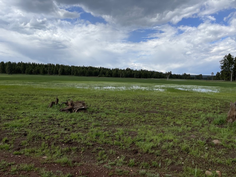 Fry Lake Trail Trail Review Photo