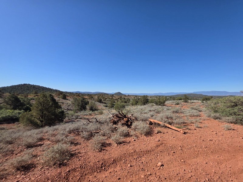 Diamondback Gulch aka Greasy Spoon Trail Review Photo