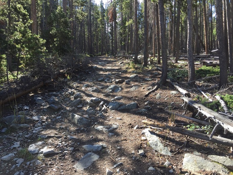 Colorado: Acme Creek Road Hero Photo