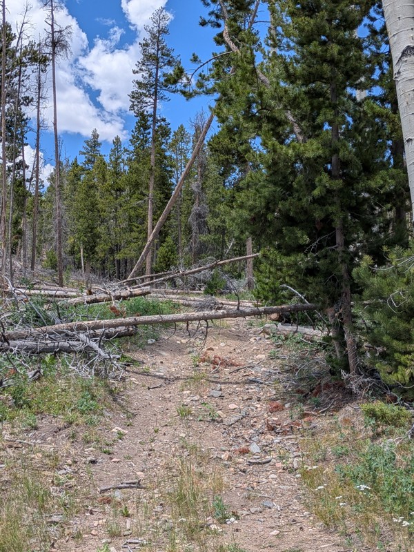 Acme Creek Road Trail Review Photo