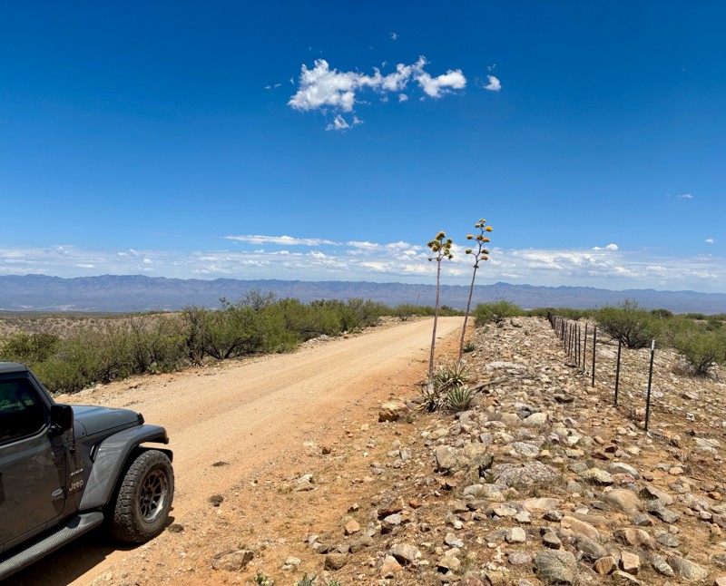 Mount Lemmon Control Road Trail Review Photo