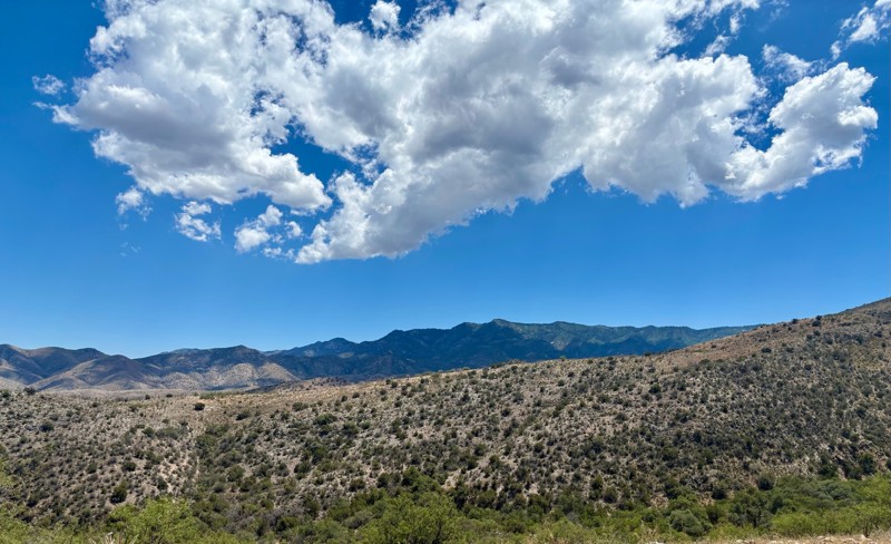 Mount Lemmon Control Road Trail Review Photo