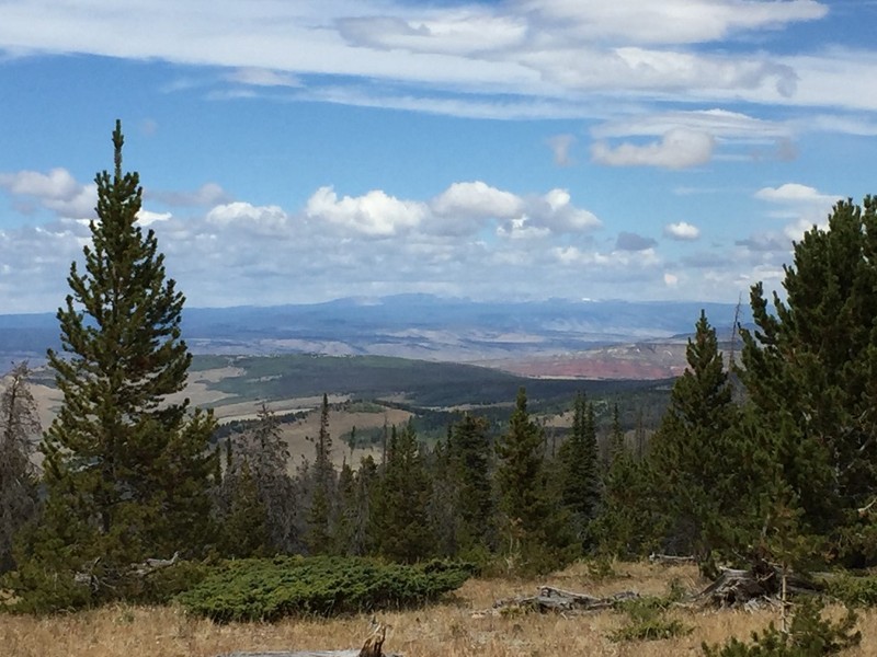 Colorado: Forest Service Road 523 Hero Photo