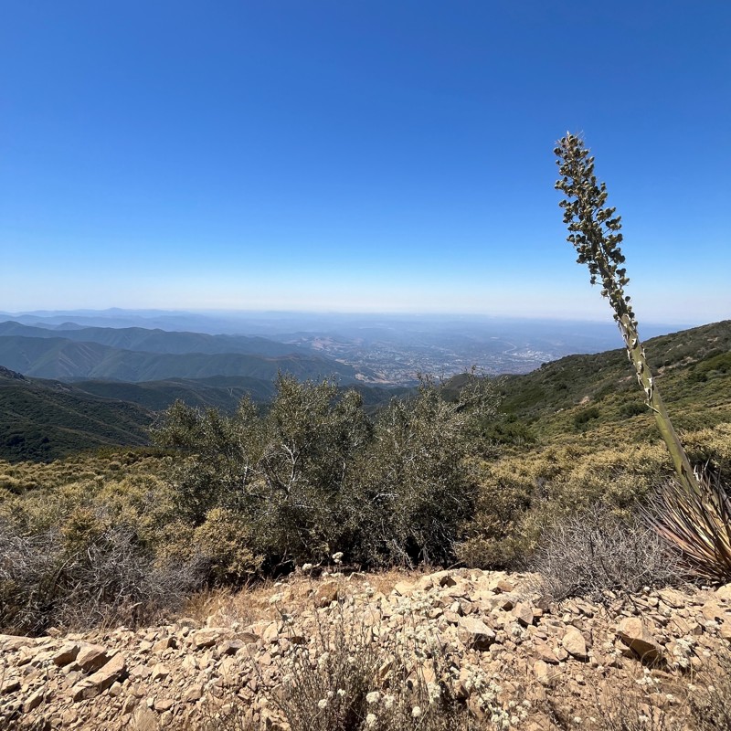 North Main Divide - Middle Section to Saddleback Trail Review Photo