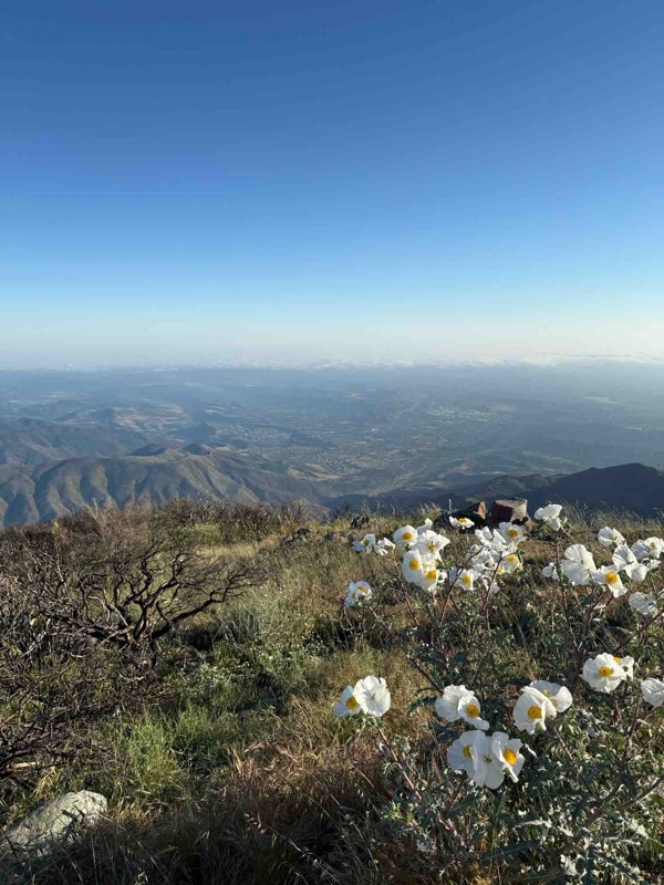 North Main Divide - Middle Section to Saddleback Trail Review Photo