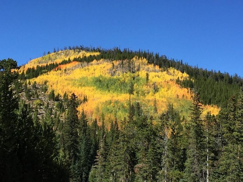 Colorado: Nunn Creek Hero Photo