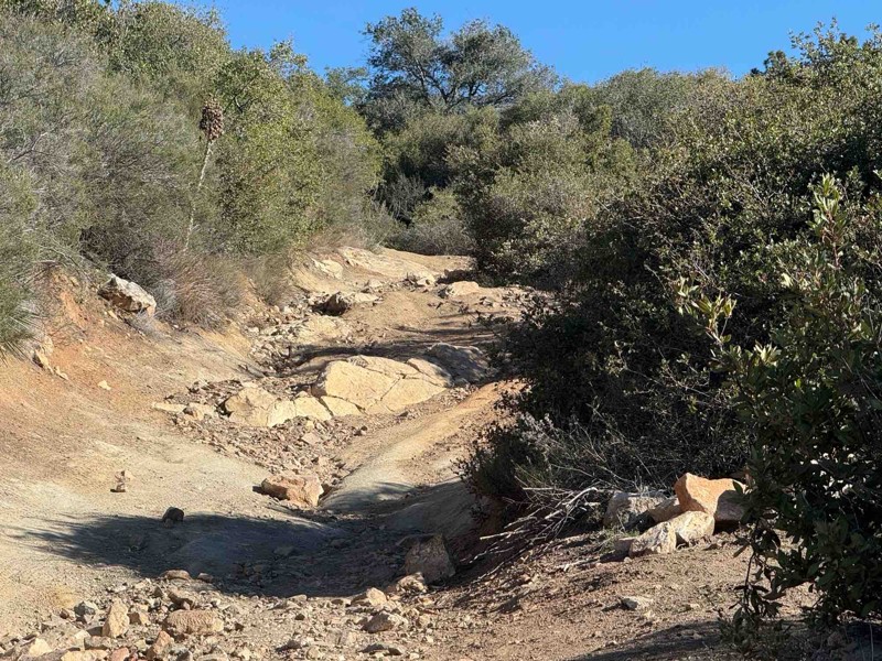 4E03 - Espinosa Trail Trail Review Photo