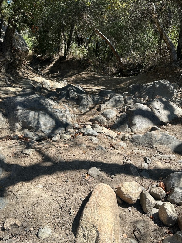 4E03 - Espinosa Trail Trail Review Photo