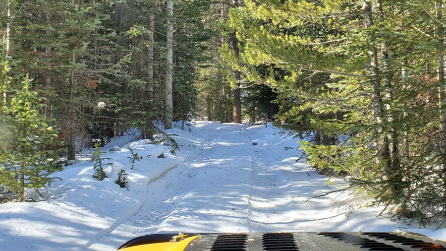 Trail Review: Mosquito Creek Road - Ryan Boudreau