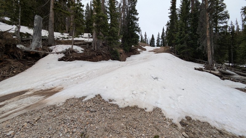 Picayne and Placer Gulches Trail Review Photo