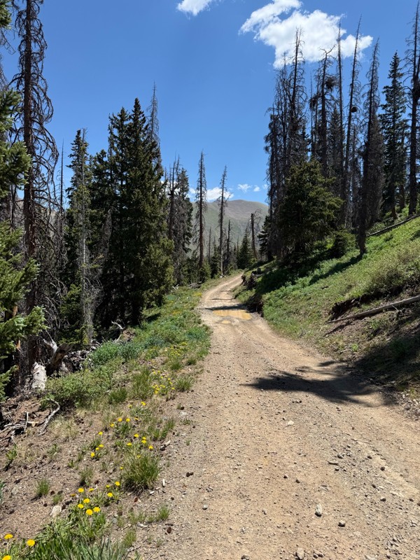 Picayne and Placer Gulches Trail Review Photo