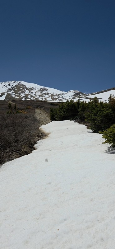 Argentine Pass Trail Review Photo