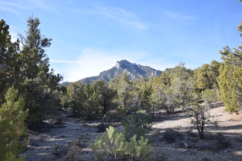 Nevada: Mud Springs Spur Road Hero Photo
