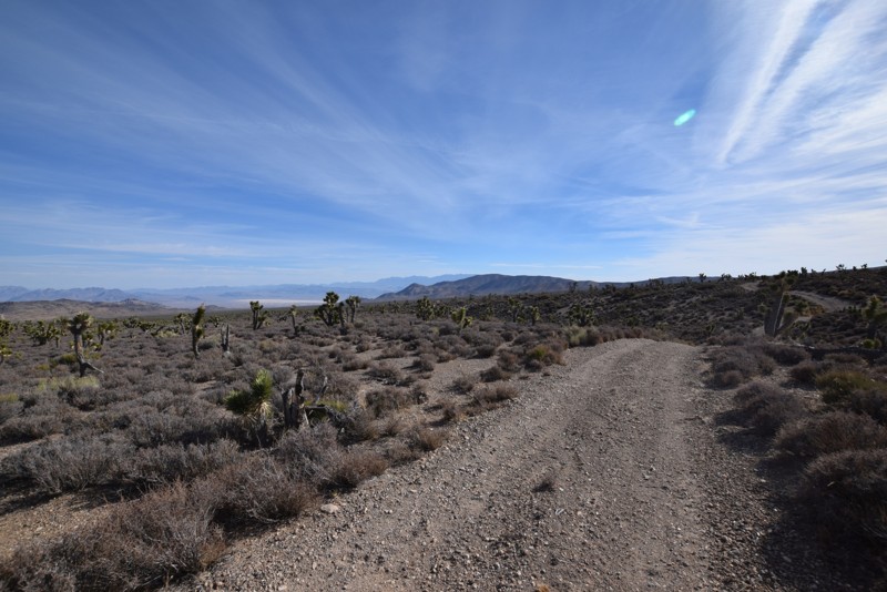 Nevada: Lambsquarters Road Loop Hero Photo
