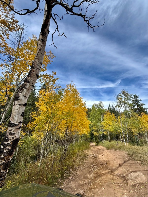Solitude Creek Trail Review Photo