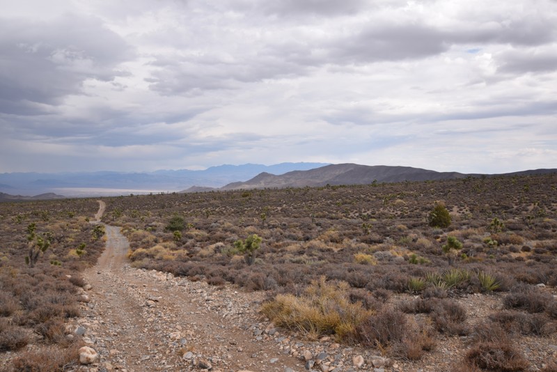 Nevada: BM15 Road to Mud Springs Road Connector Hero Photo