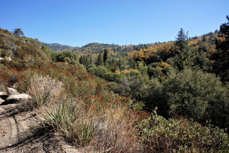 California: 5S09 - San Jacinto Ridge Hero Photo