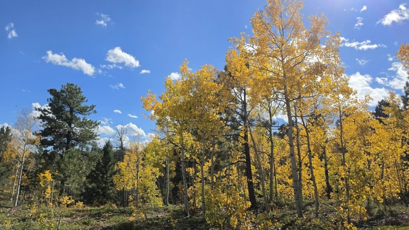 Balanced Rock Road Trail Review Photo
