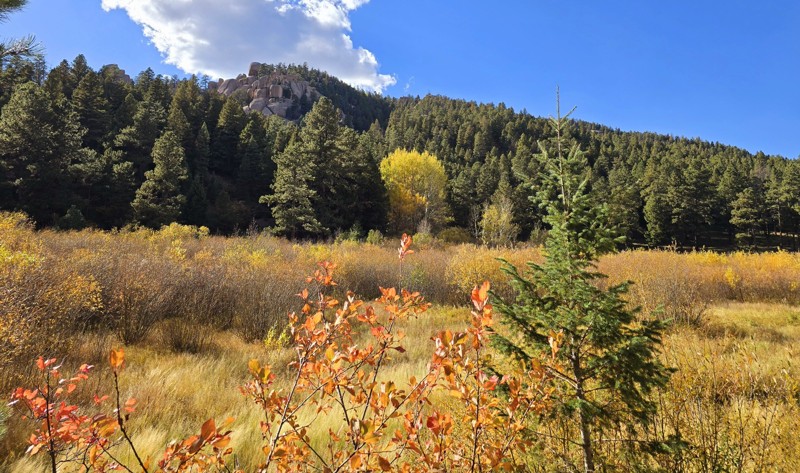 Balanced Rock Road Trail Review Photo