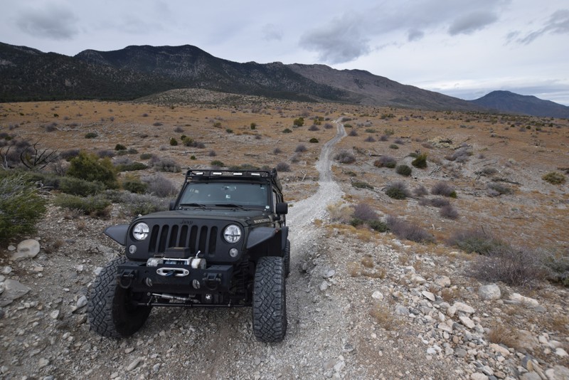Nevada: Arrowleaf Road Hero Photo
