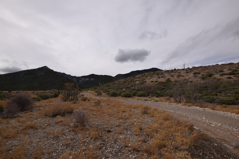 Nevada: Trail 25808/25807 Hero Photo