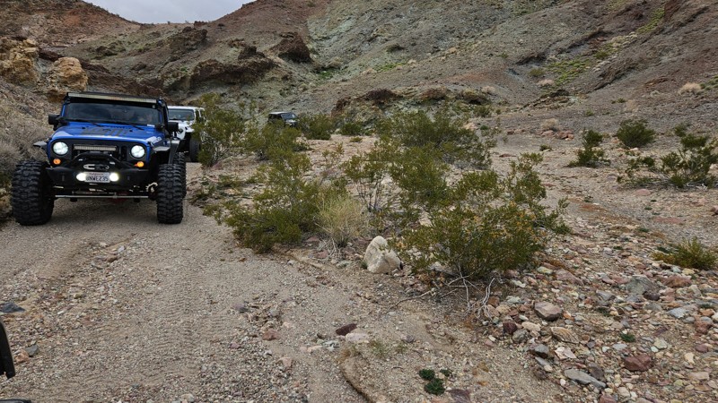 Vodkaberry Trail Review Photo