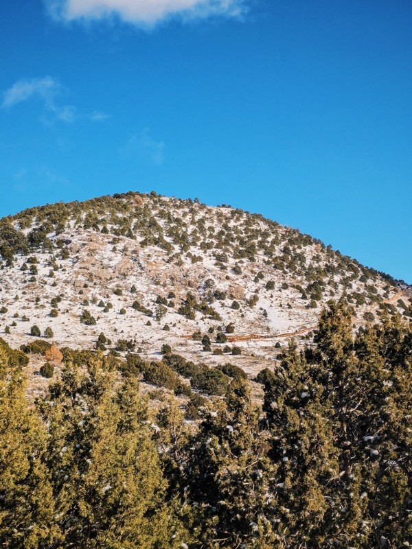 Homansville (Holmansville) Pass Road Trail Review Photo