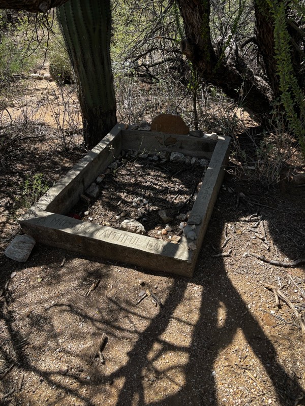 China Dam/Tule Creek Homestead Trail Review Photo
