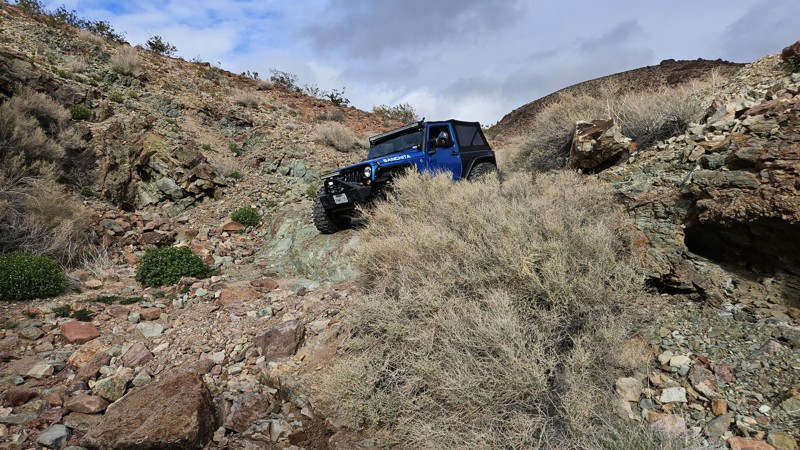 Bismarcks Mullet Trail Review Photo