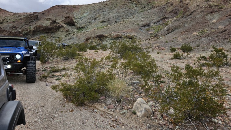 Bismarcks Mullet Trail Review Photo