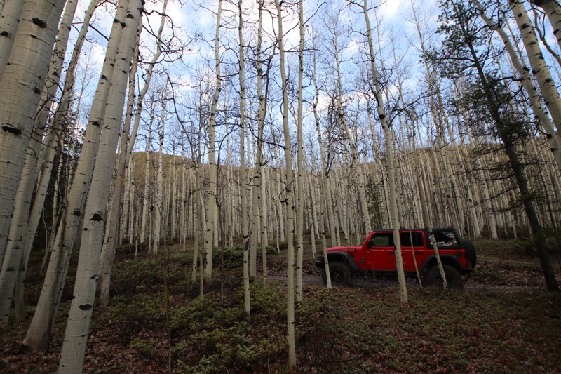Bard Creek Trail Review Photo