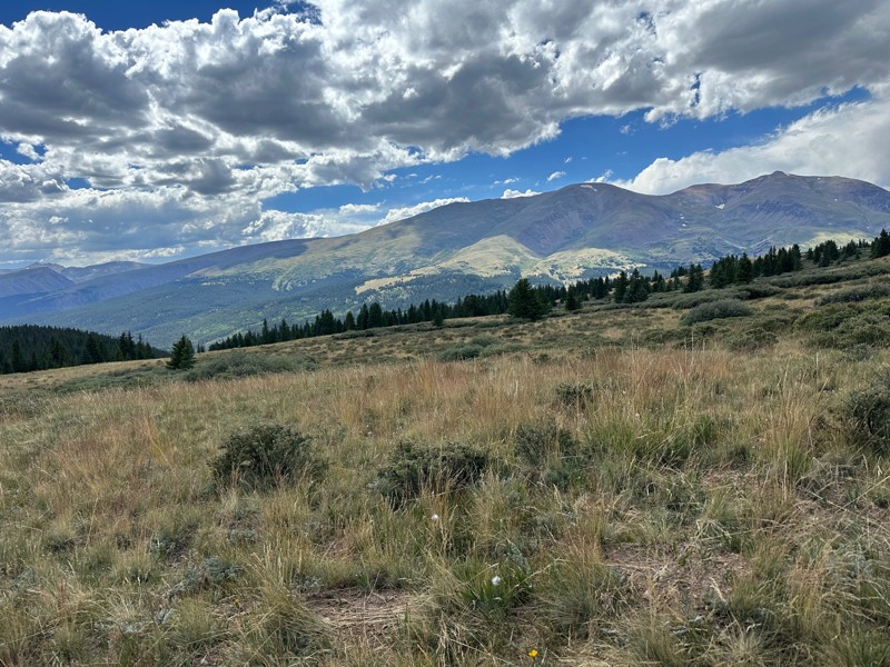 Trail Review: Beaver Ridge - John Ferreira