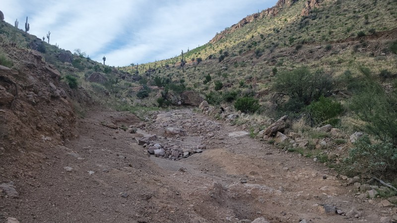 Rincon Road Trail Review Photo