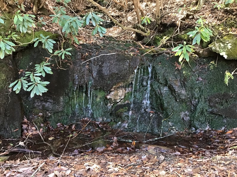 Nimblewill Gap Trail Review Photo