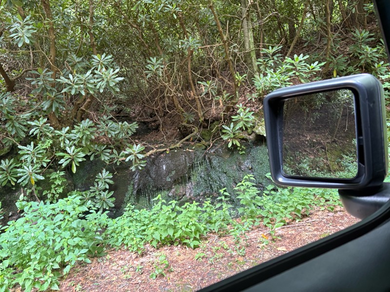 Nimblewill Gap Trail Review Photo