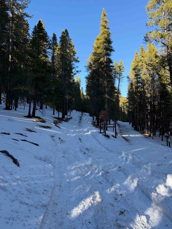 Bill Moore Lake Trail Review Photo