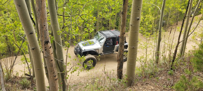 Bill Moore Lake Trail Review Photo