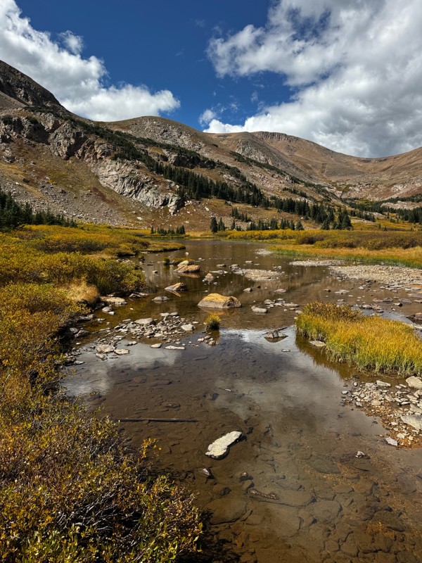 Bill Moore Lake Trail Review Photo
