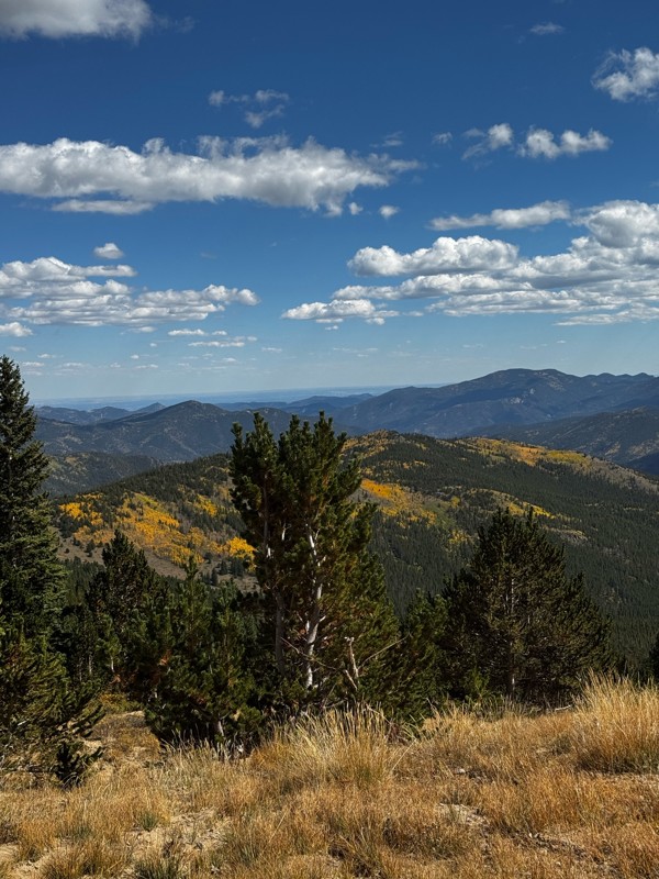 Bill Moore Lake Trail Review Photo