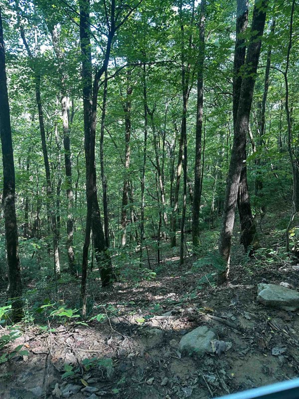 Old Bucktown Road Trail Review Photo