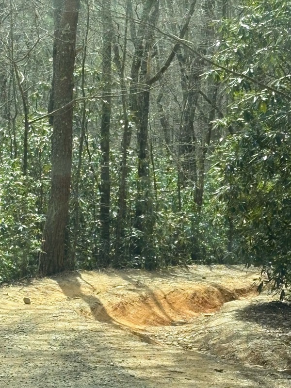 Old Bucktown Road Trail Review Photo