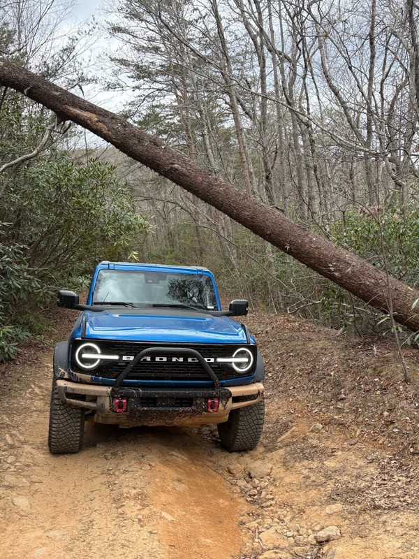 Old Bucktown Road Trail Review Photo