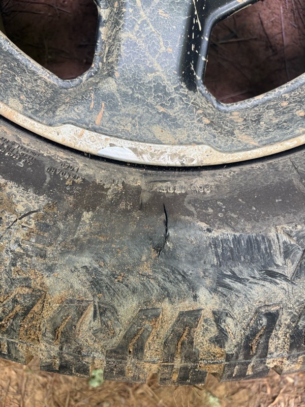 Old Bucktown Road Trail Review Photo
